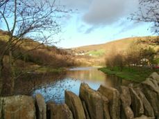 Cwmtillery Lakes, Local Nature Reserve