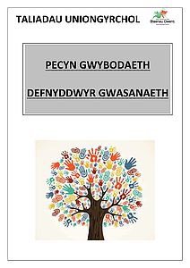 Pecyn Gwybodaeth - Defnyddwyr Gwasanaeth